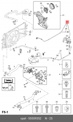 Chevrolet Aveo/Cruze F14D4/F16D4 трубка обогрева дросселя 55559352 GENERAL MOTORS