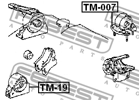 Toyota подушка двигателя задняя TM-007 FEBEST