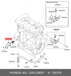 Фитинг 256312B001 HYUNDAI KIA
