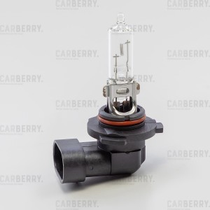 HB3 12V 60W P20d 31CA1 CARBERRY