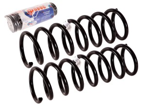 Пружины Ford Focus C-Max задние (2003-2007) 1,6-2,0 53223 FOBOS