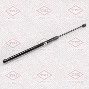 SS Rexton - амортизатор багажника TAF1051 TATSUMI