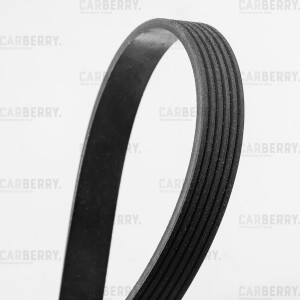 6PK1000 VAG, Peugeot 2,0 ремень приводной 6PK1000 CARBERRY