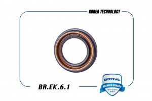 Daewoo Nexia/Lanos/Lacetti/Aveo F14D3/Epica/Cruze МКПП/Aveo T300 МКПП/Epica Саль BR.EK.6.1 BRAVE