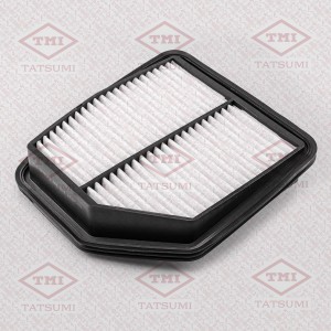 Suzuki GV 2,4 и 3,2л с 05гг фильтр воздушный TBC1091 TATSUMI