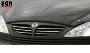 SsangYong Kyron c 2006 Дефлектор капота 36041 EGR