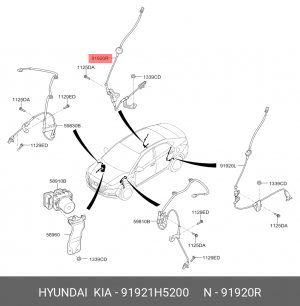 Hyundai Solaris/Rio 17 - Датчик АБС задний правый 91921H5200 HYUNDAI KIA