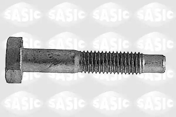 Peugeot 206 болт крепления шаровой опоры переднего рычага 5223433 SASIC