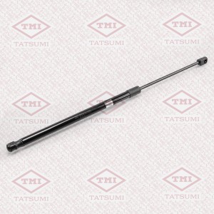 SS Rexton - амортизатор багажника TAF1051 TATSUMI
