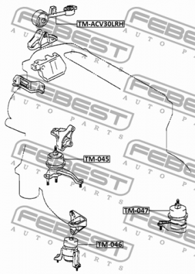 TOYOTA CAMRY ACV30/MCV30 2001-2006 опора двс передняя правая TM-045 FEBEST
