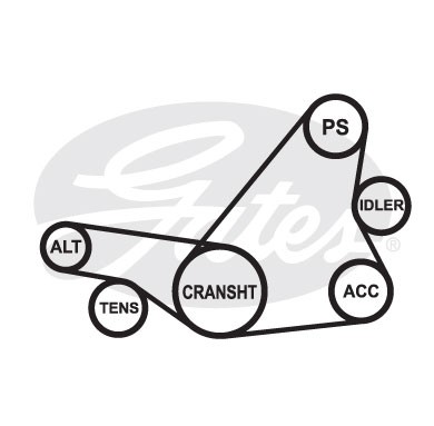 Renault Clio ремень приводной 5-PK-1113 GATES