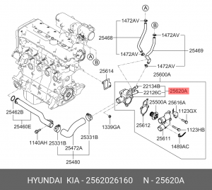 Hyundai Accent 99-/Getz DOHC Корпус термостата 2562026160 HYUNDAI KIA