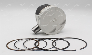 Поршень в сборе 0.50 PN-32191 AUTOWELT