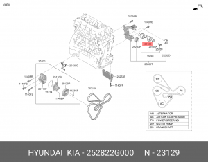 Hyundai ix35/Sportage 10- 2.0б ролик приводного ремня ниж  (без натяжителя) 252822G000 HYUNDAI KIA