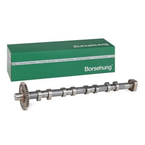 Вал распределительный B18980 BORSEHUNG