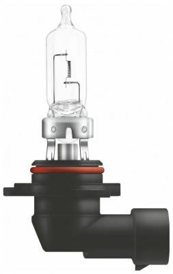 HB3 12V 60W P20d 31CA1 CARBERRY