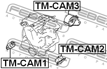 DAIHATSU подушка двигателя задняя TM-CAM3 FEBEST