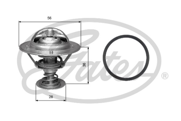 Toyota Auris/Avensis/Camry/Celica/Corolla/MR-2/Picnic/RAV 4 II 1,4-3,0/2,0D-4D 1 TH31482G1 GATES