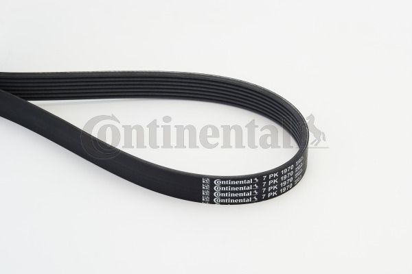 Ремень 7-PK-1970 CONTITECH