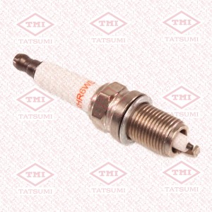 ZFR6V-G Свеча зажигания Aveo T300, Astra J THS1009 TATSUMI