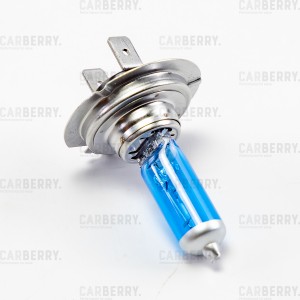 H7 12V (55W) Power light увеличенный светопоток 31CA13PL CARBERRY