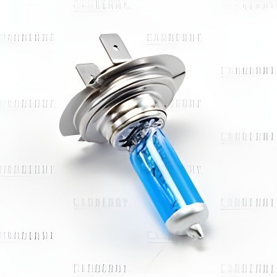 H7 12V (55W) Power light увеличенный светопоток 31CA13PL CARBERRY