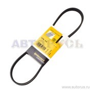 4PK815 HYUNDAI Accent DOHC/Elantra XD 00-06 1.6/Verna /Kia Rio JB 06-11 1.4 Реме 4PK815 CONTITECH